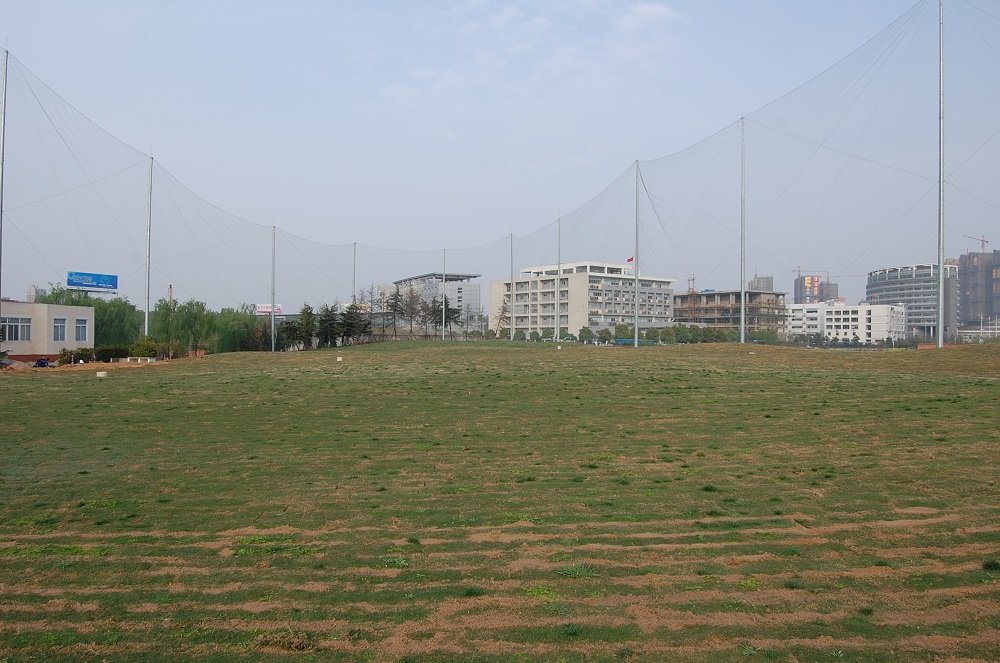10008.jpg